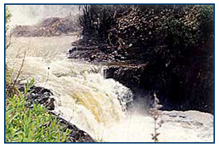Santiago Creek