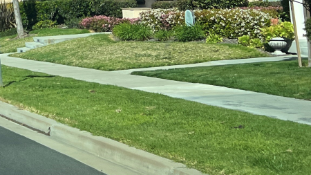 OCPW Sidewalk